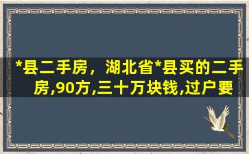 *县二手房，湖北省*县买的二手房,90方,三十万块钱,过户要*