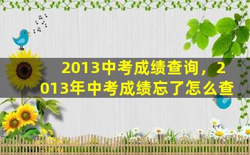 2013中考成绩查询，2013年中考成绩忘了怎么查