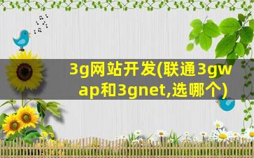 3g网站开发(联通3gwap和3gnet,选哪个)