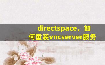 directspace，如何重装vncserver服务