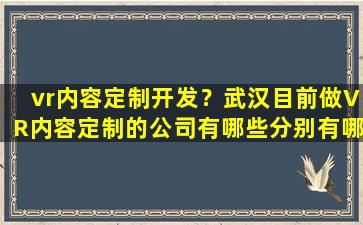 vr内容定制开发？武汉目前做VR内容定制的*有哪些分别有哪些优势