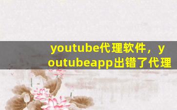 youtube代理软件，youtubeapp出错了代理插图