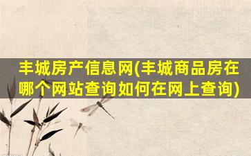 丰城房产信息网(丰城商品房在哪个网站查询如何在网上查询)