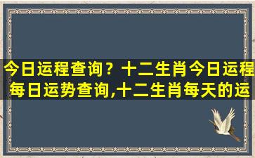 今日运程查询？十二生肖今日运程每日运势查询,十二生肖每天的运气