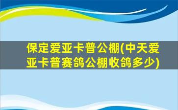 保定爱亚卡普公棚(中天爱亚卡普赛鸽公棚收鸽多少)