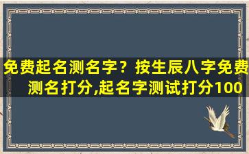 免费起名测名字？按生辰八字免费测名打分,起名字测试打分100分