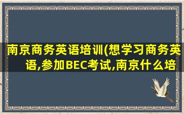 南京商务英语培训(想学习商务英语,参加BEC考试,南京什么培训机构的培训好)