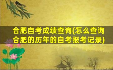 合肥自考成绩查询(怎么查询合肥的历年的自考报考记录)