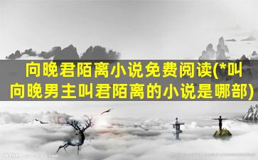 向晚君陌离小说免费阅读(*叫向晚男主叫君陌离的小说是哪部)插图