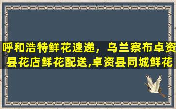 呼和浩特鲜花速递，乌兰察布卓资县花店鲜花配送,卓资县同城鲜花速递