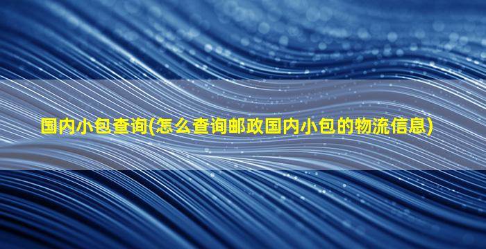 国内小包查询(怎么查询邮政国内小包的物流信息)