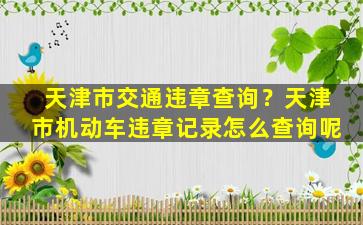 天津市交通违章查询？天津市机动车违章记录怎么查询呢