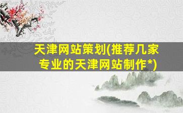 天津网站策划(推荐几家专业的天津网站制作*)插图