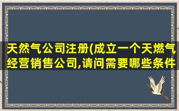 天然气*注册(成立一个天燃气经营销售*,请问需要哪些条件)