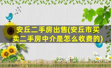 安丘二手房*(安丘市买卖二手房中介是怎么收费的)
