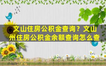 文山住房公积金查询？文山州住房公积金余额查询怎么查