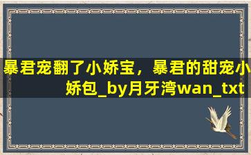 暴君宠翻了小娇宝，暴君的甜宠小娇包_by月牙湾wan_txt全文免费阅读