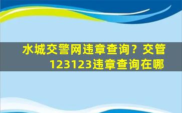 水城交警网违章查询？交管123123违章查询在哪