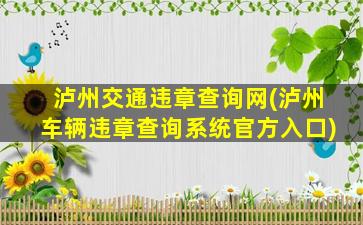 泸州交通违章查询网(泸州车辆违章查询系统官方入口)