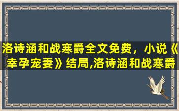 洛诗涵和战寒爵全文免费，小说《幸孕宠妻》结局,洛诗涵和战寒爵最后在一起了吗