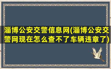 淄博*交警信息网(淄博*交警网现在怎么查不了车辆违章了)