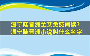 温宁陆晋洲全文免费阅读？温宁陆晋洲小说叫什么名字