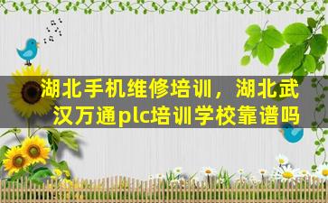 湖北手机维修培训，湖北武汉万通plc培训学校靠谱吗