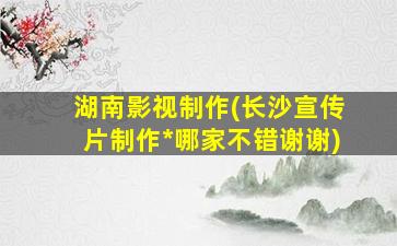 湖南影视制作(长沙宣传片制作*哪家不错谢谢)插图