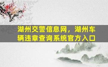 湖州交警信息网，湖州车辆违章查询系统官方入口