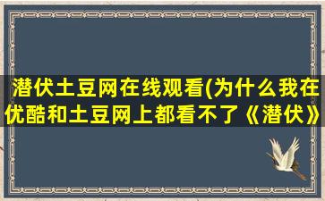 潜伏土豆网在线观看(为什么我在优酷和土豆网上都看不了《潜伏》了呢)