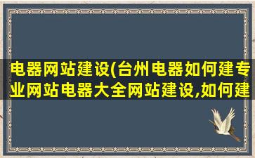 电器网站建设(台州电器如何建专业网站电器大全网站建设,如何建)插图