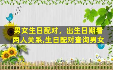男女生日配对，出生日期看两人关系,生日配对查询男女