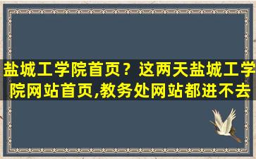 盐城工学院首页？这两天盐城工学院网站首页,教务处网站都进不去,什么原因