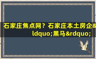 石家庄焦点网？石家庄本土房企“黑马”涉黑了,大家知道吗