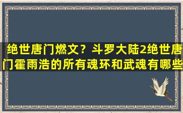 绝世唐门燃文？斗罗大陆2绝世唐门霍雨浩的所有魂环和武魂有哪些