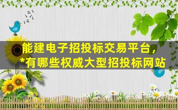能建电子招投标交易平台，*有哪些权威大型招投标网站插图