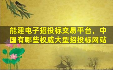 能建电子招投标交易平台，*有哪些权威大型招投标网站