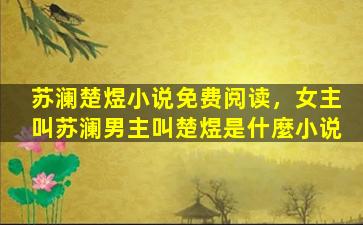 苏澜楚煜小说免费阅读，*叫苏澜男主叫楚煜是什麼小说