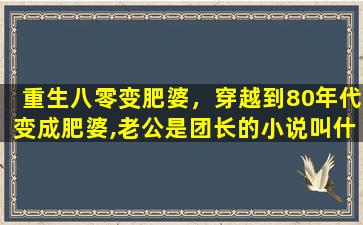 重生八零变肥婆，穿越到80年代变成肥婆,老公是团长的小说叫什么名字