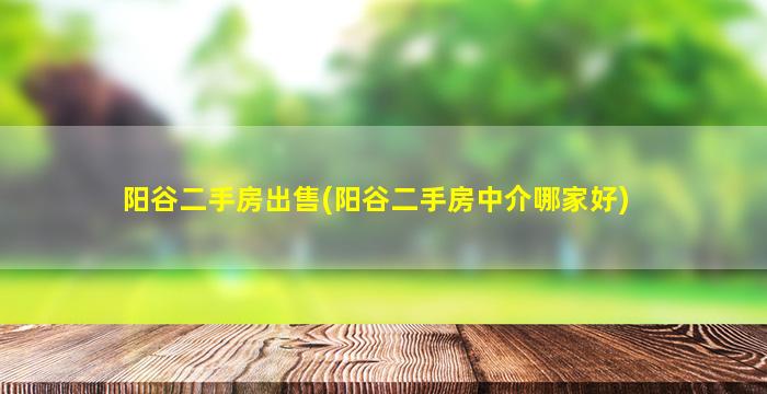 阳谷二手房*(阳谷二手房中介哪家好)