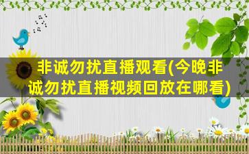 非诚勿扰直播观看(今晚非诚勿扰直播视频回放在哪看)