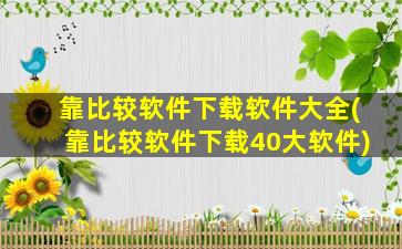 靠比较软件下载软件大全(靠比较软件下载40大软件)